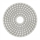 Алмазный гибкий шлифовальный круг, 100 мм, P100, мокрое шлифование, 5 шт.